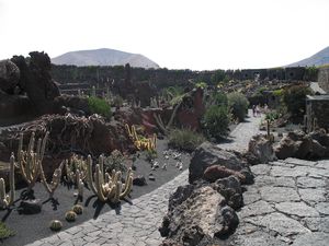 Mehr erfahren über den Kaktusgarten